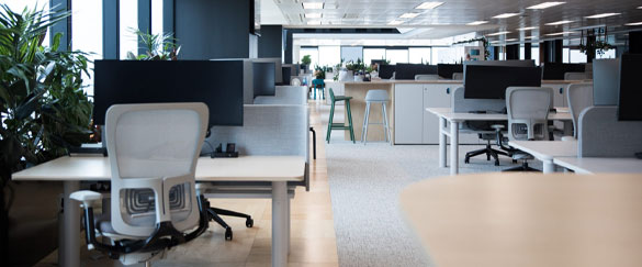 Commercial Interior Design