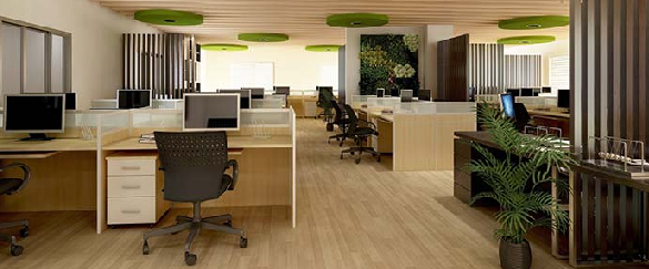 Office Interior Design