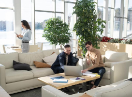 IT office living room