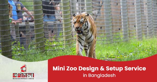 Mini zoo design & setup service in Bangladesh